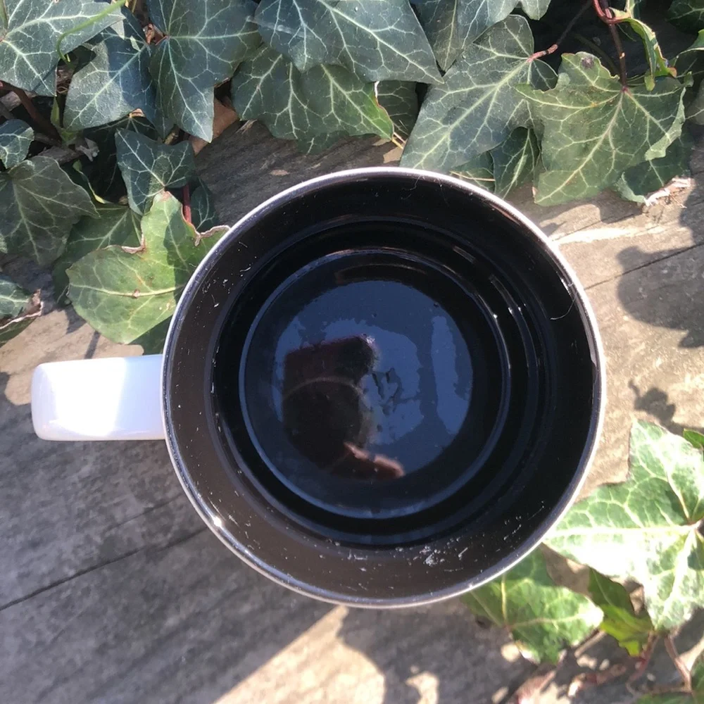 Pier 1 Imports Mustache Mug